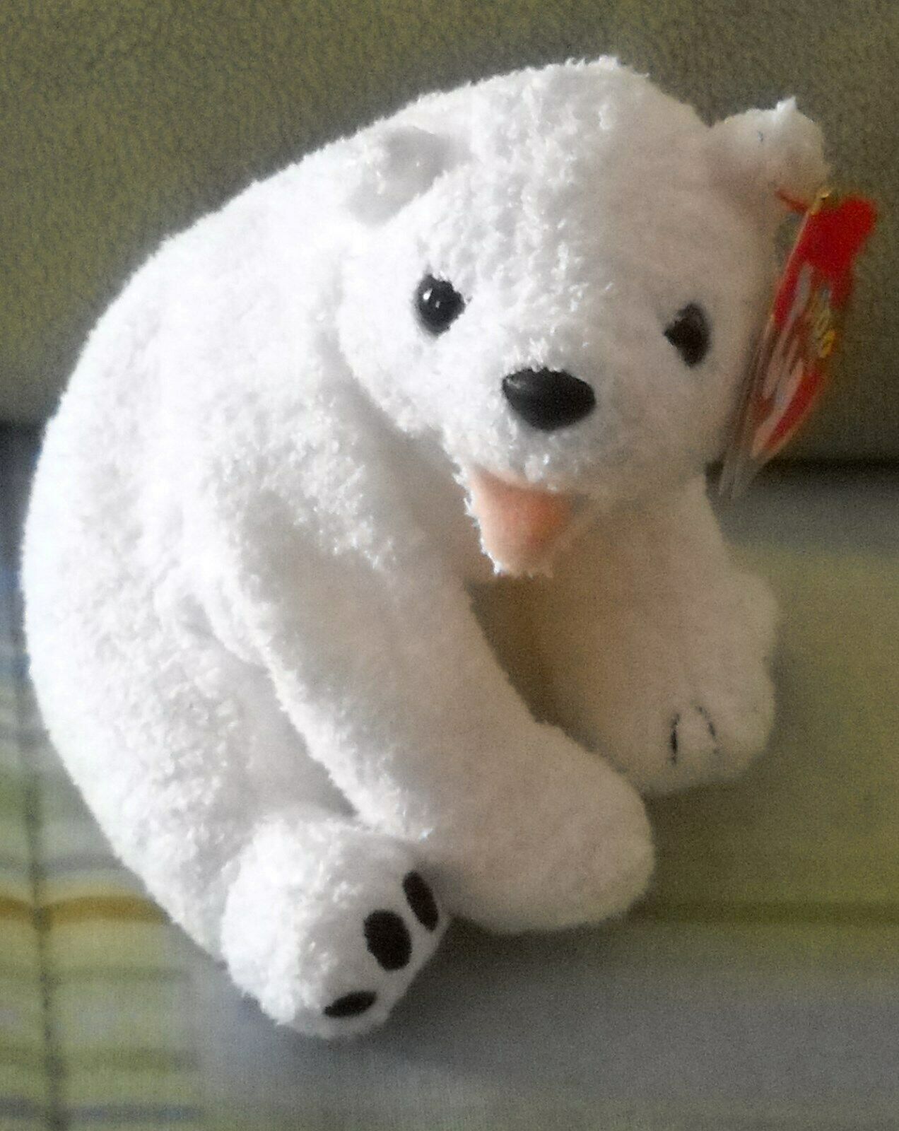 TY Beanie Bear Named Aurora Born Feb,3,2000 Extemely Rare