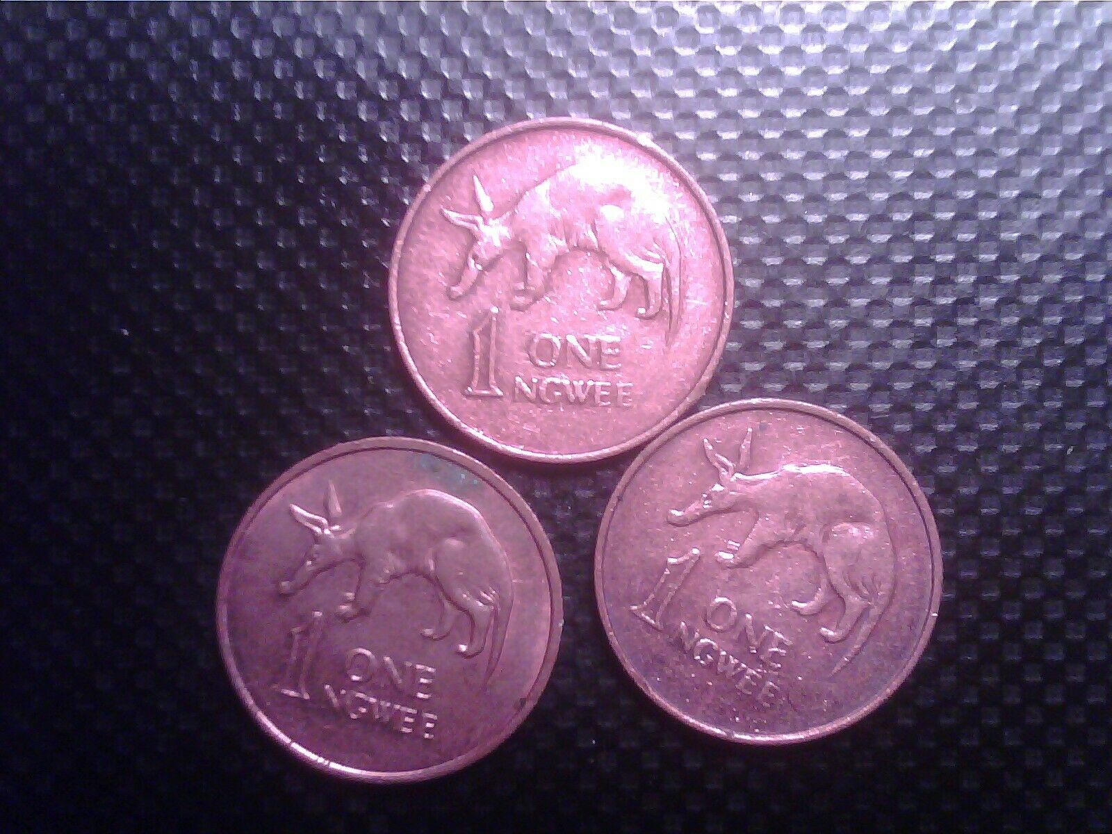 Zambia    1   Ngwee       1983  Three   Coins   Aug27